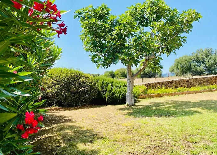 Appartement Marie Diane - Duplex Cote C Propriano (Corsica)